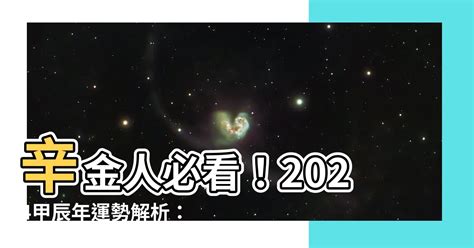 辛金 2024